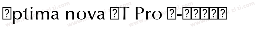 Optima nova LT Pro H字体转换